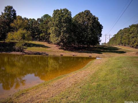 6028 Hooks Cv, Alexander, AR 72002 photo 32