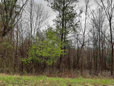 16 Hiawatha, Conway, AR 72032 photo 1