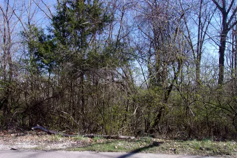 00 8th St, Flippin, AR 72619 photo 8