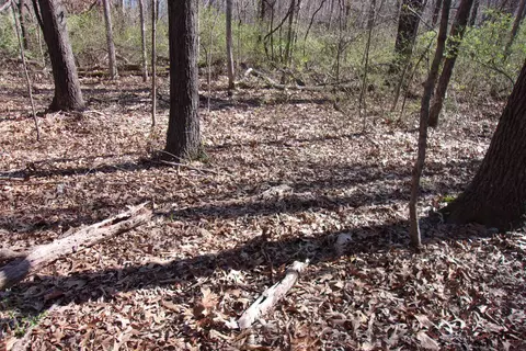 00 8th St, Flippin, AR 72619 photo 10