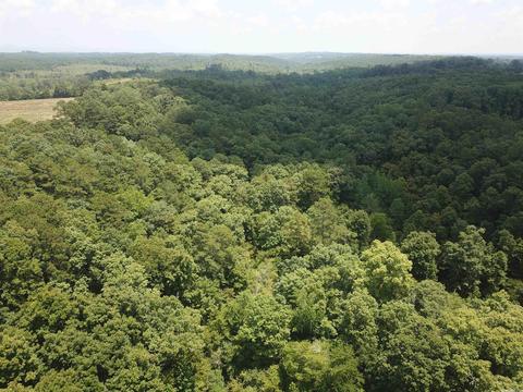 249 Highway 278 E, Wickes, AR 71973 photo 41