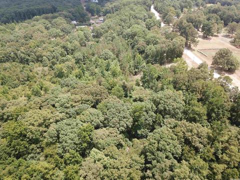 249 Highway 278 E, Wickes, AR 71973 photo 14