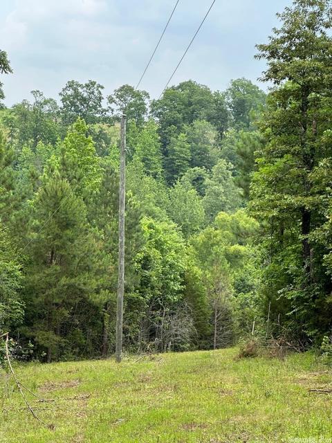 249 Highway 278 E, Wickes, AR 71973 photo 43