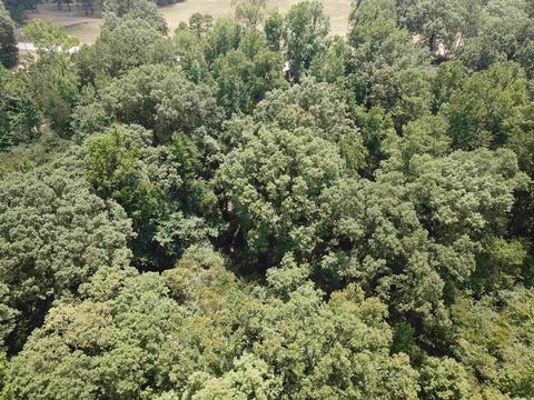 249 Highway 278 E, Wickes, AR 71973 photo 34