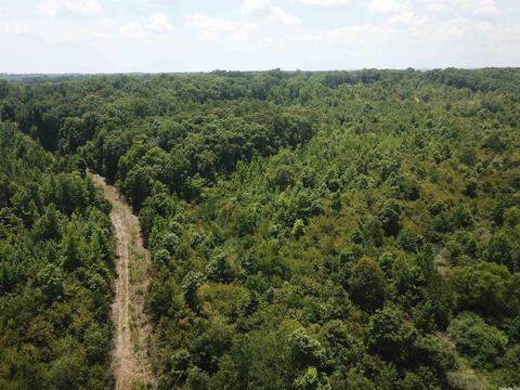 249 Highway 278 E, Wickes, AR 71973 photo 18