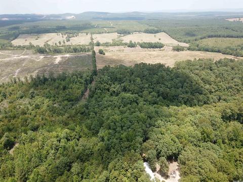 249 Highway 278 E, Wickes, AR 71973 photo 7