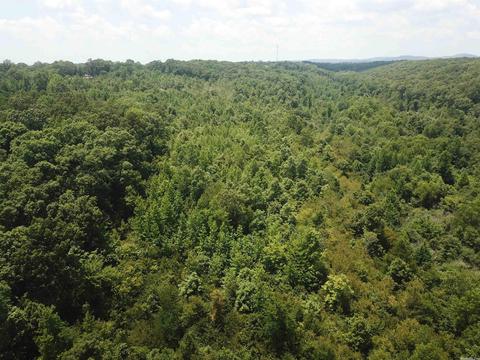 249 Highway 278 E, Wickes, AR 71973 photo 31