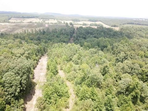 249 Highway 278 E, Wickes, AR 71973 photo 6