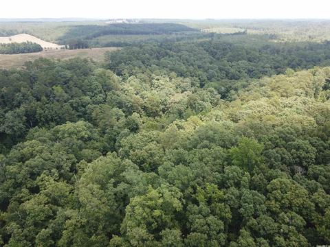 249 Highway 278 E, Wickes, AR 71973 photo 38