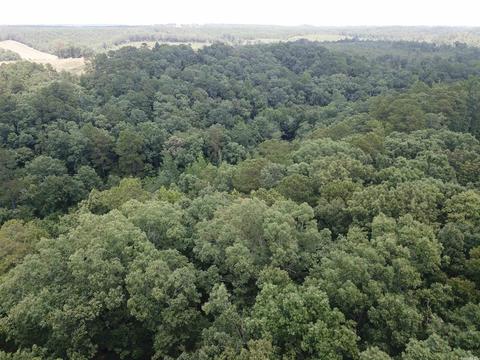 249 Highway 278 E, Wickes, AR 71973 photo 23