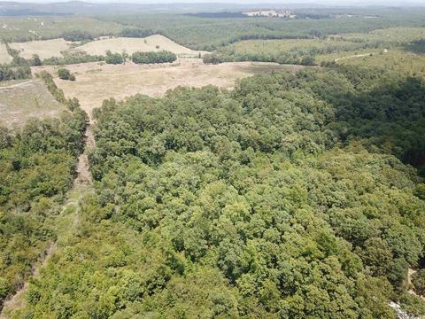 249 Highway 278 E, Wickes, AR 71973 photo 10