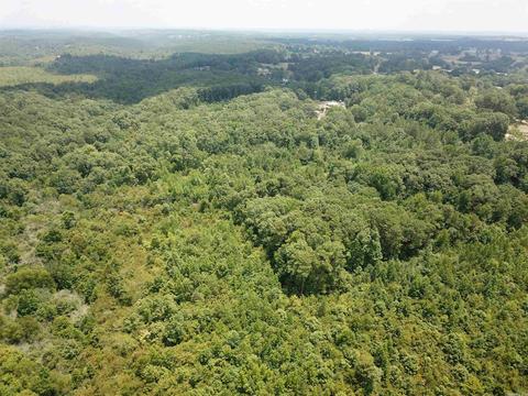 249 Highway 278 E, Wickes, AR 71973 photo 13