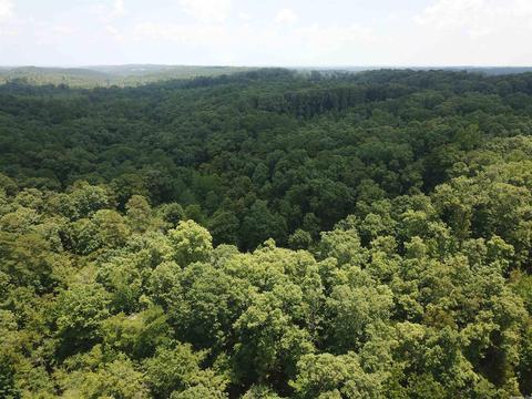 249 Highway 278 E, Wickes, AR 71973 photo 15