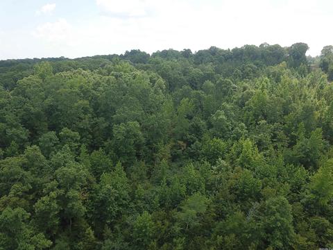 249 Highway 278 E, Wickes, AR 71973 photo 20
