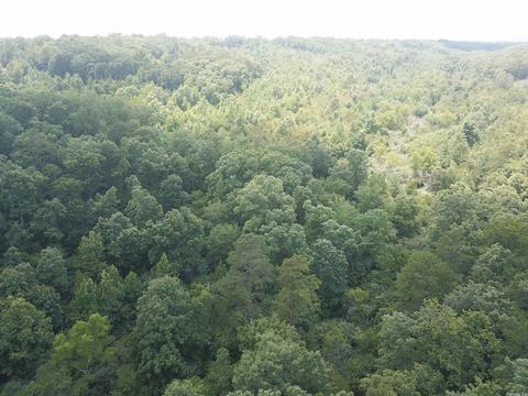 249 Highway 278 E, Wickes, AR 71973 photo 28