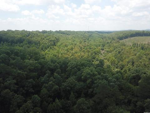 249 Highway 278 E, Wickes, AR 71973 photo 26
