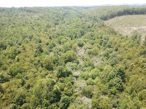 249 Highway 278 E, Wickes, AR 71973 photo 17