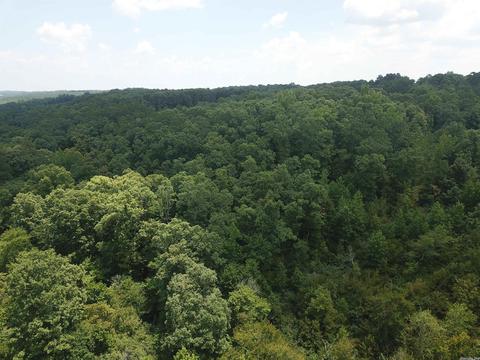 249 Highway 278 E, Wickes, AR 71973 photo 19