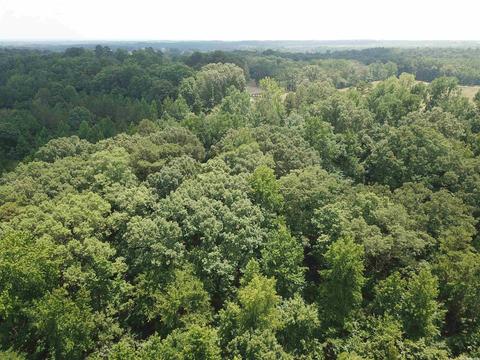 249 Highway 278 E, Wickes, AR 71973 photo 33