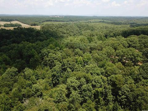 249 Highway 278 E, Wickes, AR 71973 photo 5