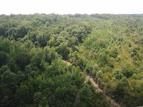 249 Highway 278 E, Wickes, AR 71973 photo 16