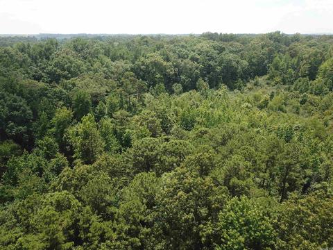 249 Highway 278 E, Wickes, AR 71973 photo 32