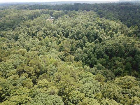 249 Highway 278 E, Wickes, AR 71973 photo 42
