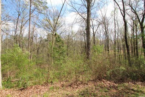8014 Short Ln, Mabelvale, AR 72103 photo 8