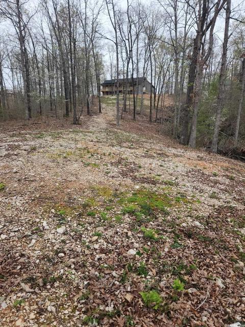 617 Mountain Crst, Mountain View, AR 72560 photo 11