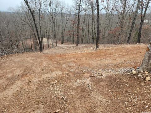 617 Mountain Crst, Mountain View, AR 72560 photo 10