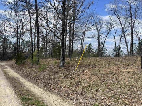 227 Cooper Ct, Melbourne, AR 72556 photo 8