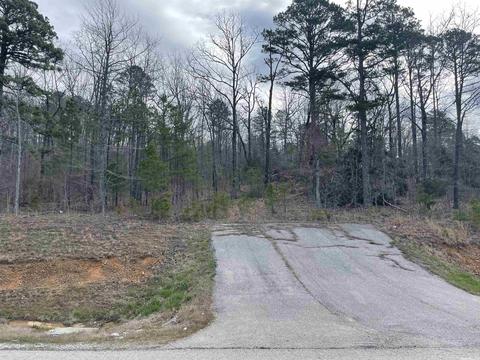 227 Cooper Ct, Melbourne, AR 72556 photo 5