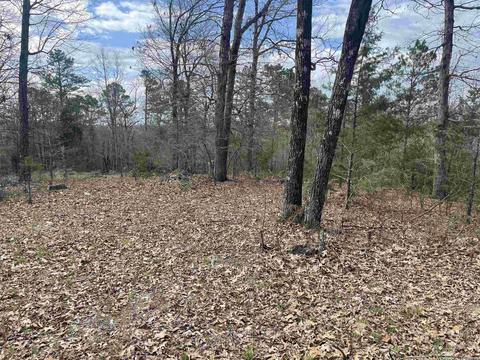 227 Cooper Ct, Melbourne, AR 72556 photo 7