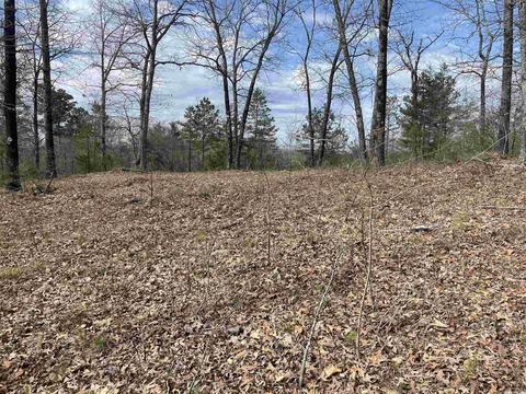 227 Cooper Ct, Melbourne, AR 72556 photo 2