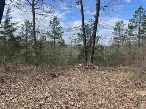 227 Cooper Ct, Melbourne, AR 72556 photo 6