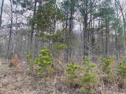 227 Cooper Ct, Melbourne, AR 72556 photo 4