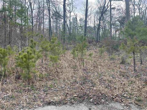 227 Cooper Ct, Melbourne, AR 72556 photo 9