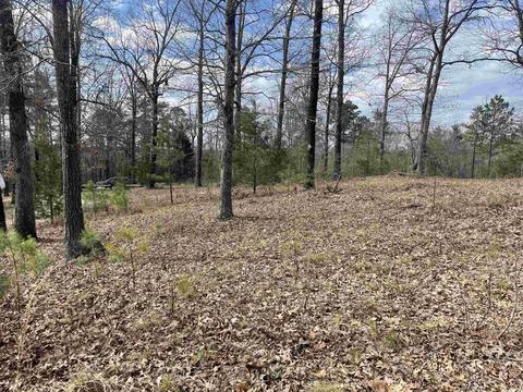 227 Cooper Ct, Melbourne, AR 72556 photo 1