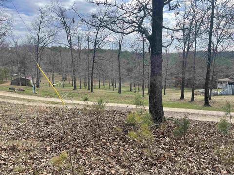 227 Cooper Ct, Melbourne, AR 72556 photo 3