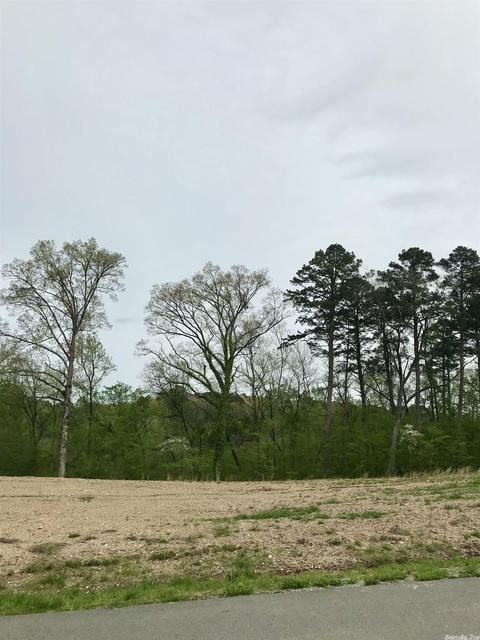 853 Belle Grove Loop, Benton, AR 72019 photo 10