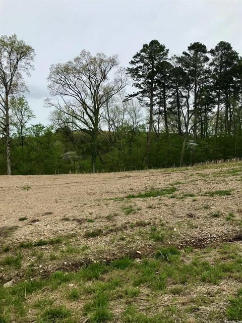 853 Belle Grove Loop, Benton, AR 72019 photo 4