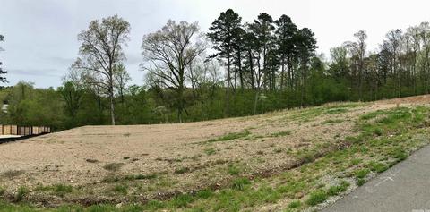 853 Belle Grove Loop, Benton, AR 72019 photo 1