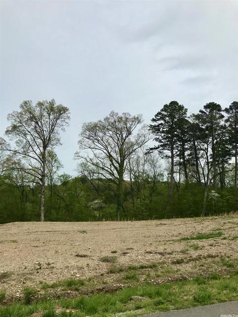 853 Belle Grove Loop, Benton, AR 72019 photo 8