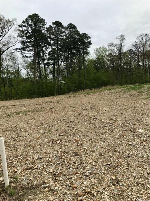 853 Belle Grove Loop, Benton, AR 72019 photo 7