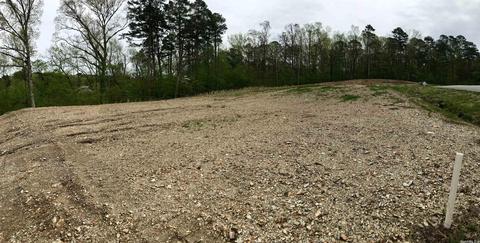 853 Belle Grove Loop, Benton, AR 72019 photo 2