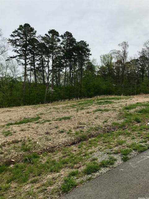 853 Belle Grove Loop, Benton, AR 72019 photo 5