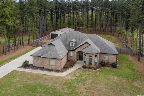 313 Reuben Dr, Alexander, AR 72002 photo 2
