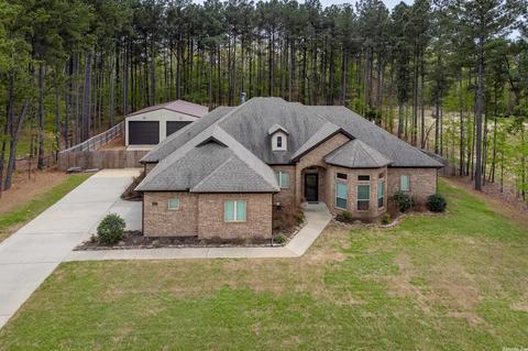 313 Reuben Dr, Alexander, AR 72002 photo 1