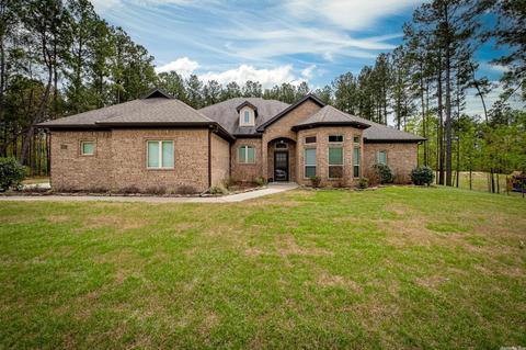 313 Reuben Dr, Alexander, AR 72002 photo 3