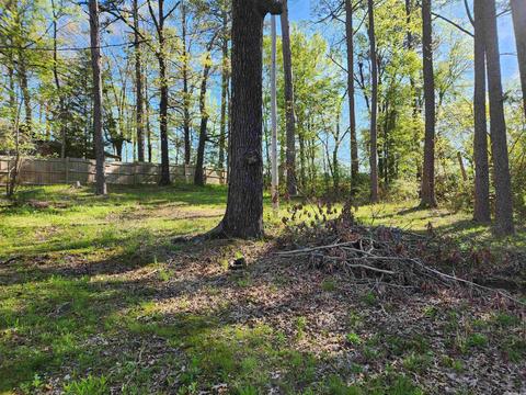 119 Gilbert St, Mount Ida, AR 71957 photo 5